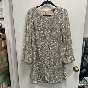 Elegant Silver Sequin Long Sleeve Dress